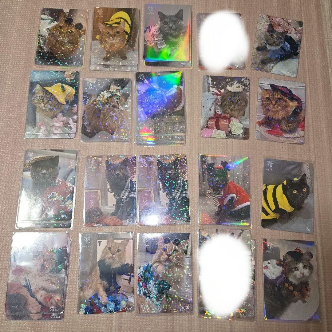 町田ジョルナ店 猫カフェMOCHA トレカ