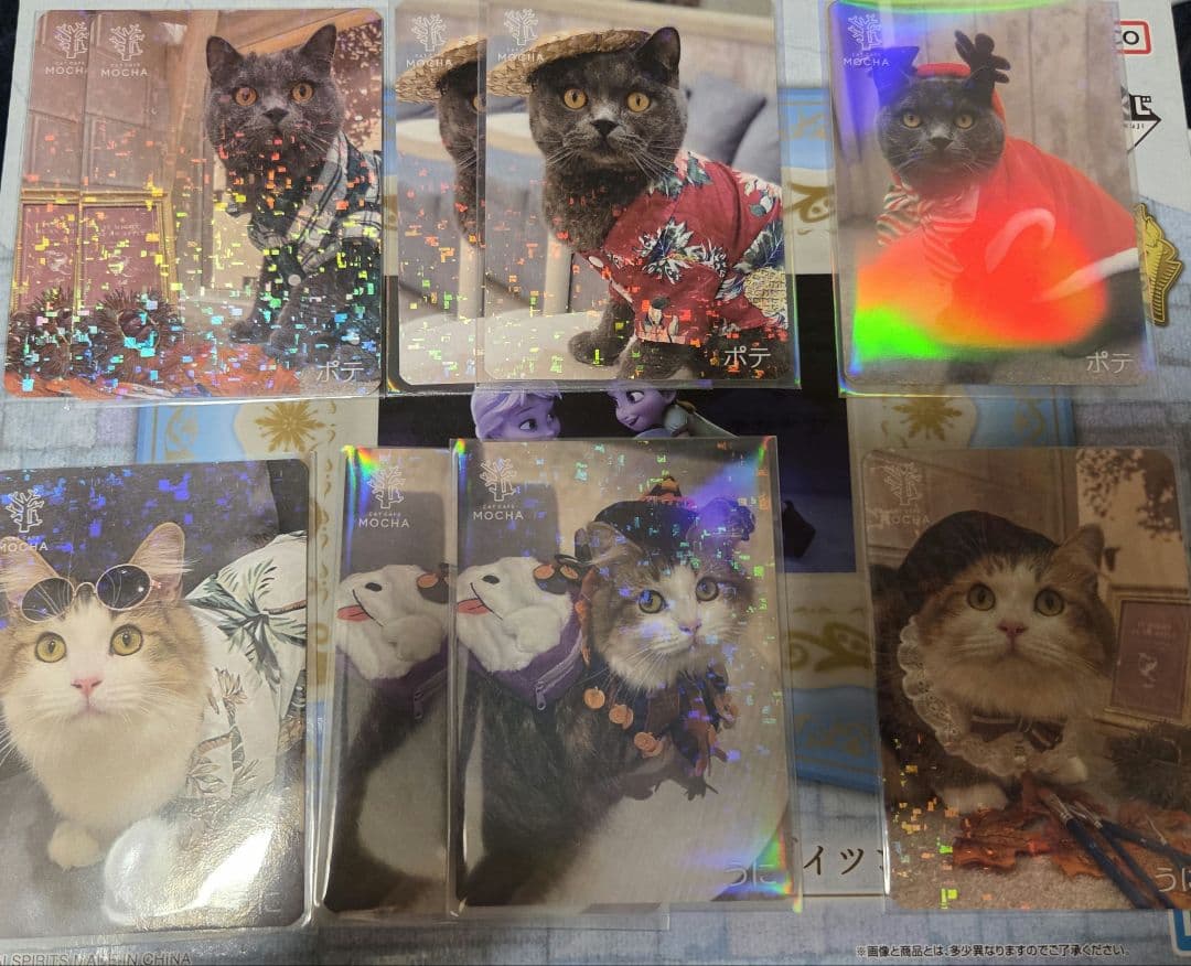 町田ジョルナ店 猫カフェMOCHA トレカ