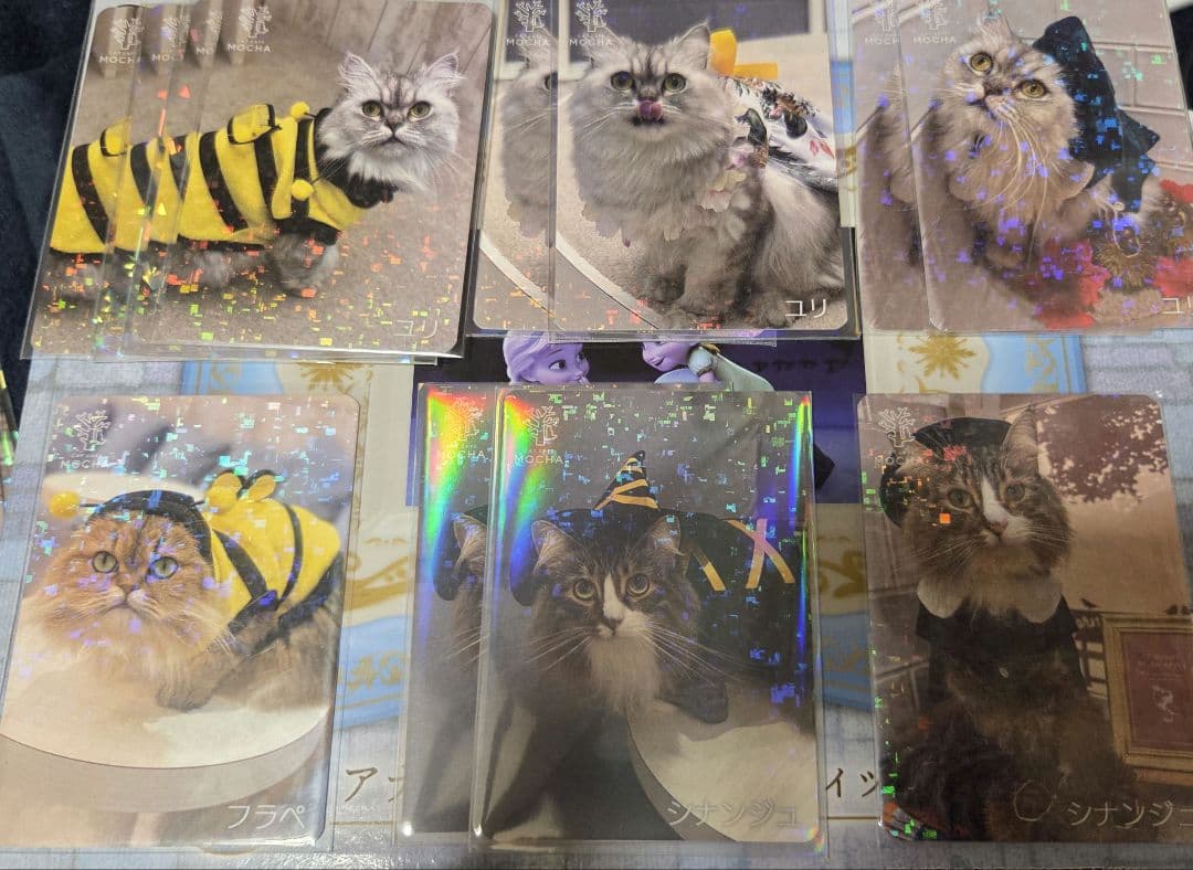 町田ジョルナ店 猫カフェMOCHA トレカ