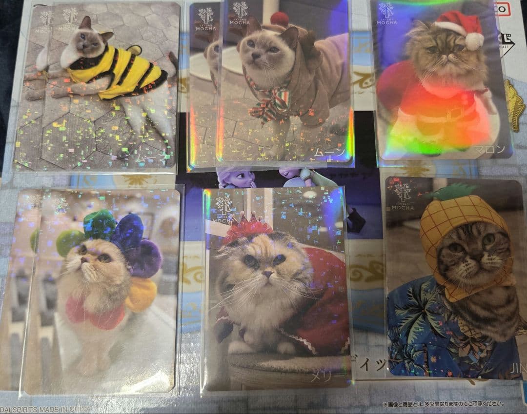 町田ジョルナ店 猫カフェMOCHA トレカ