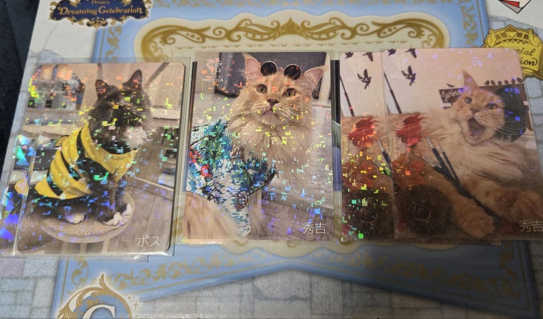 町田ジョルナ店 猫カフェMOCHA トレカ