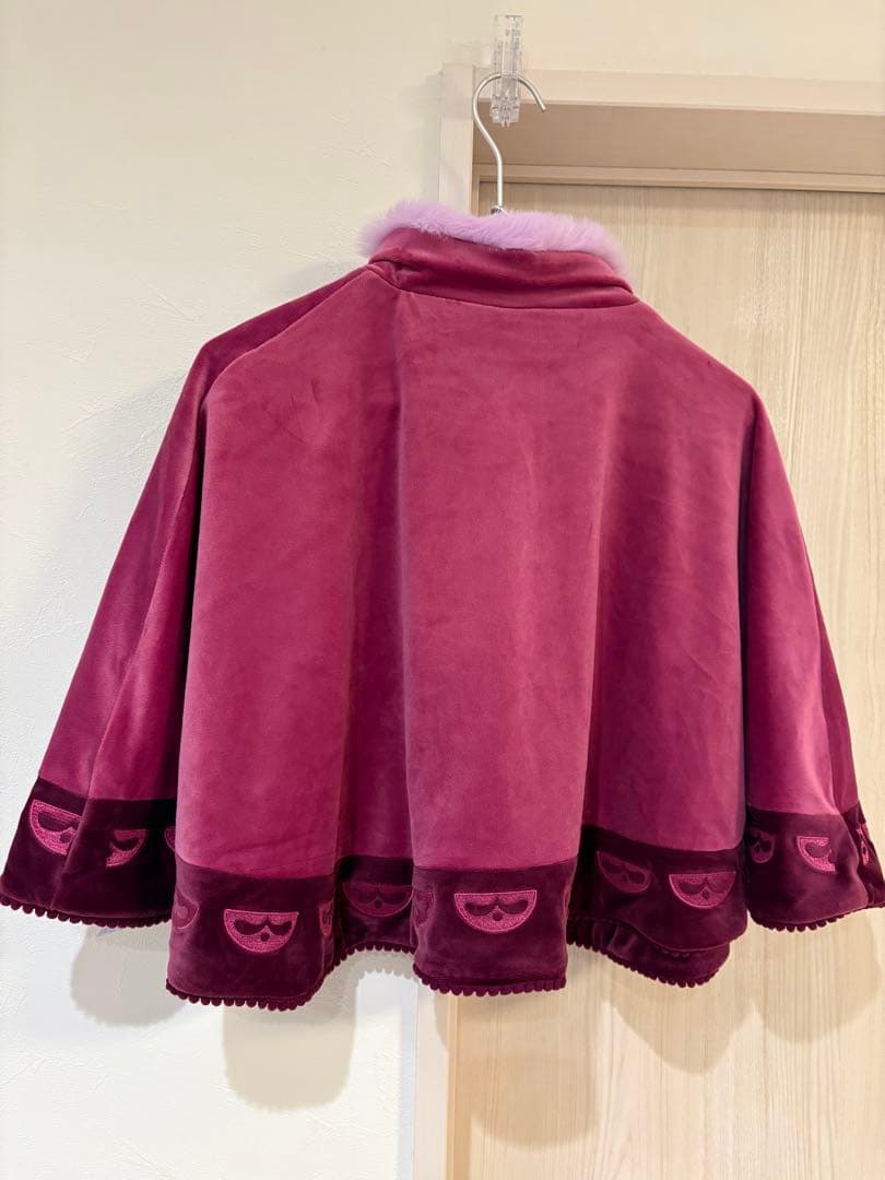 リトシー　アナ雪　ケープ　160 【2点】