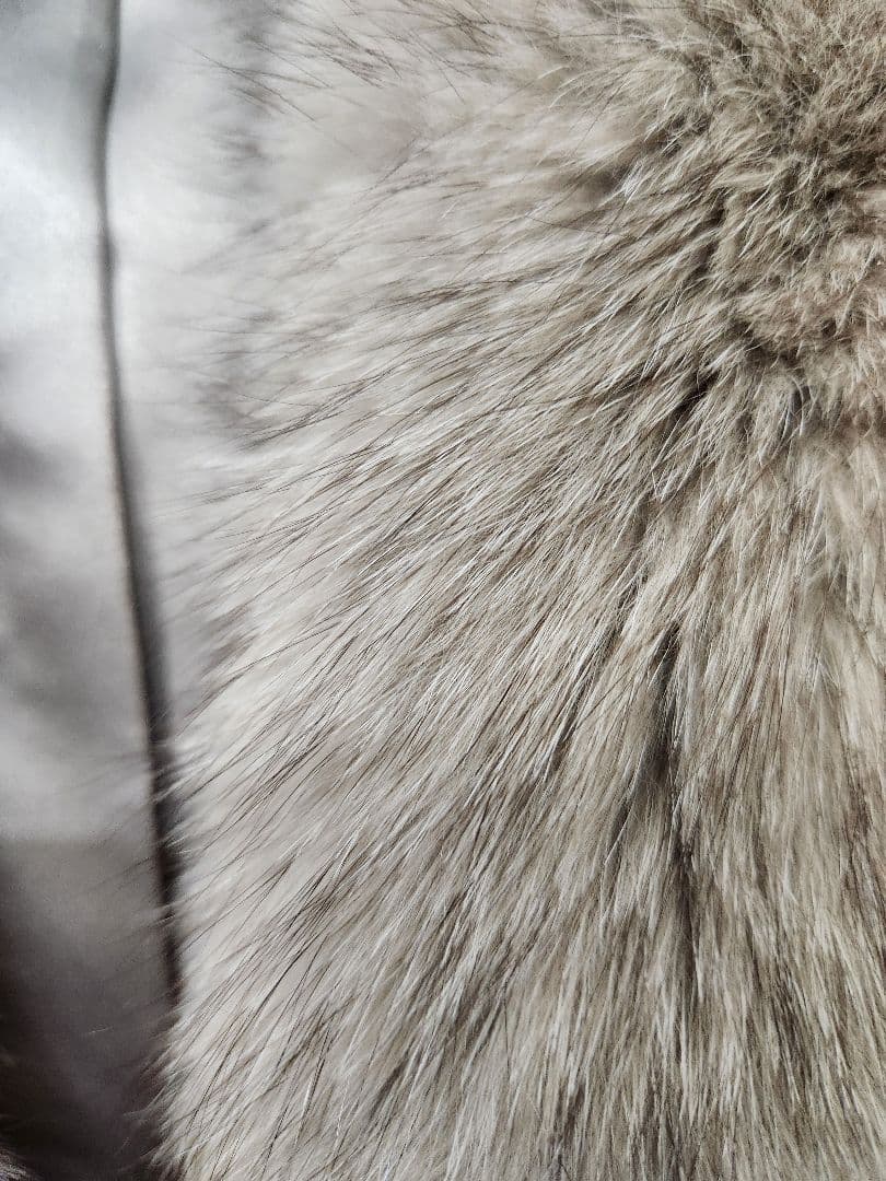 119727　SAGAFURS　ファーベスト