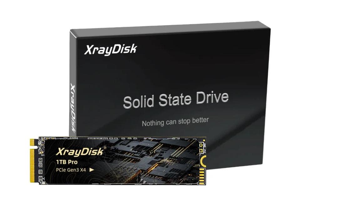 内蔵型SSD XrayDisk 1TB Pro PCIe Gen3 X4 NVMe SSD