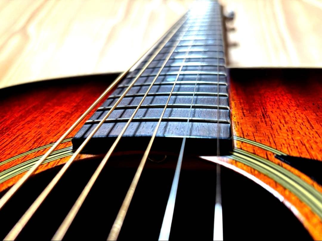 【美品/弦高2.5mm調整済 】Stafford SF250M アコギ