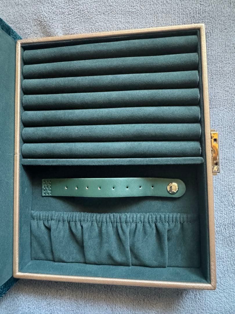 新品【Francfranc 】ディズニー　アナと雪の女王 ジュエリーボックス