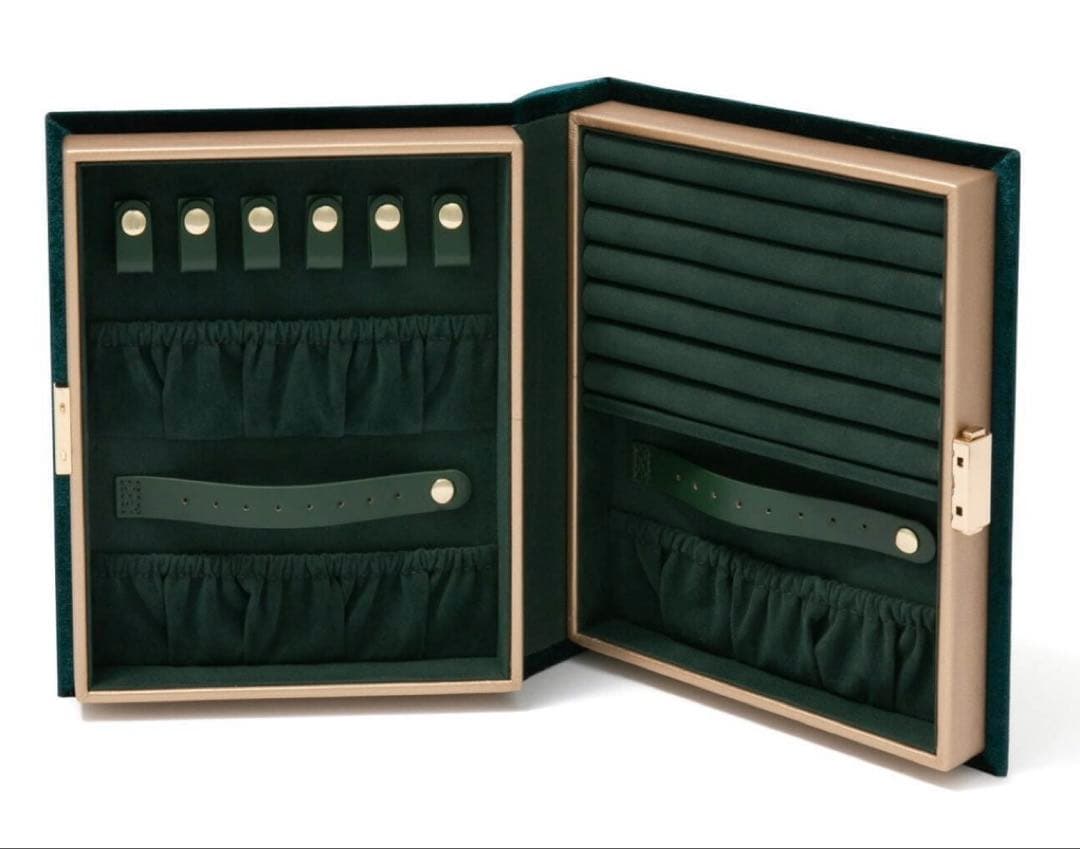 新品【Francfranc 】ディズニー　アナと雪の女王 ジュエリーボックス