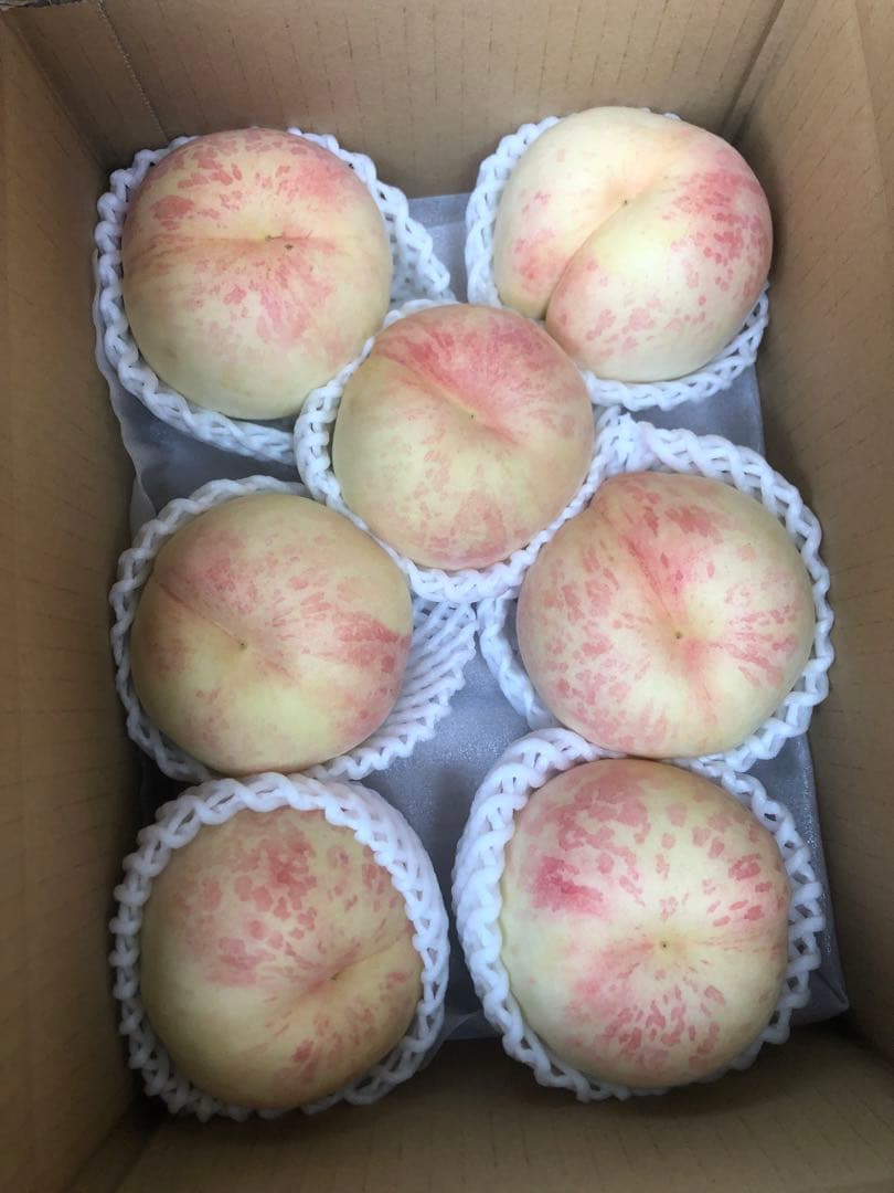 569.数量限定福島產希少品種CXシーエクス硬め桃箱込み5kg家庭用美品