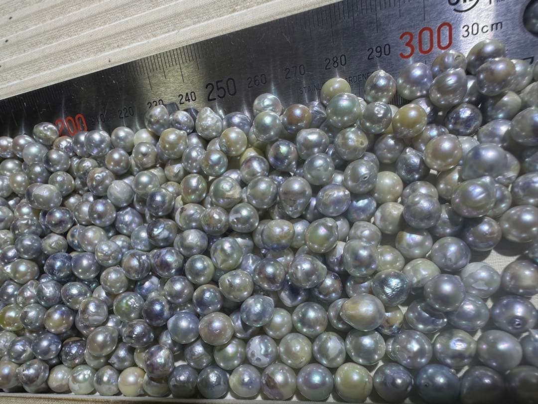 あこや真珠　パール　1630g