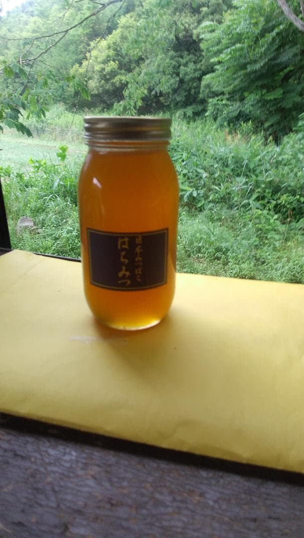 ニホンミツバチ百花蜜　1000ｇ