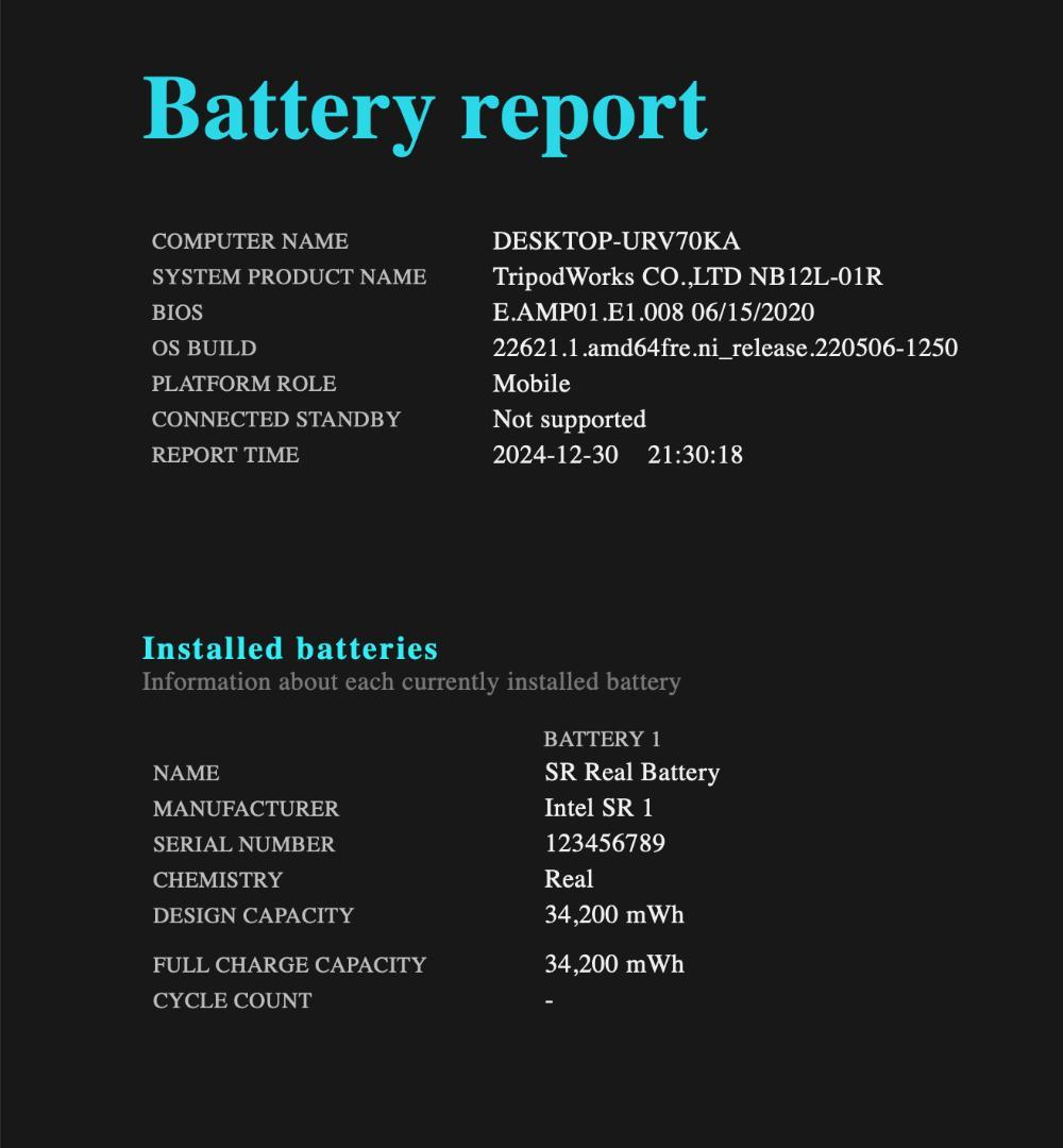 Windowsタブレット本体 netBull NB-12L-01R