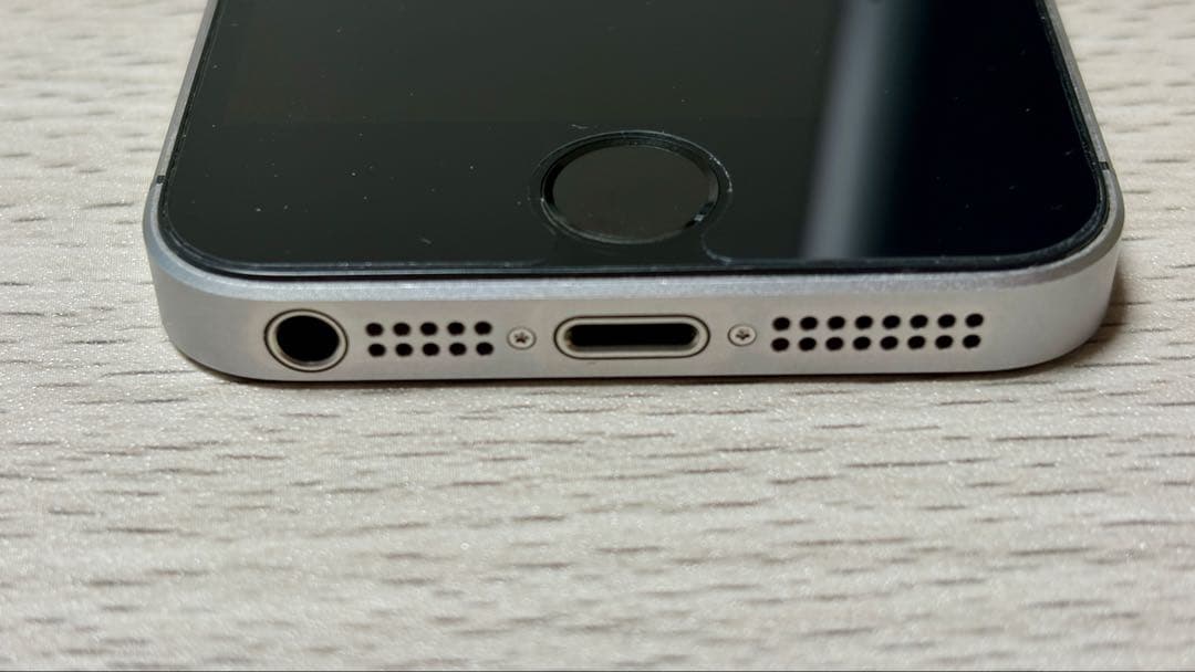 iPhone SE 第1世代 64GB 海外版｜カメラ無音｜バッテリー100％