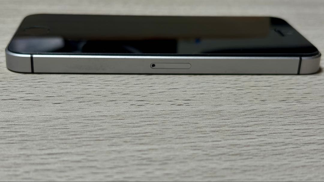 iPhone SE 第1世代 64GB 海外版｜カメラ無音｜バッテリー100％