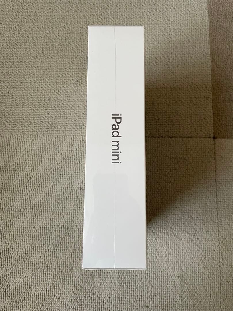 Apple iPad mini6 本体 WiFiモデル 欧米版