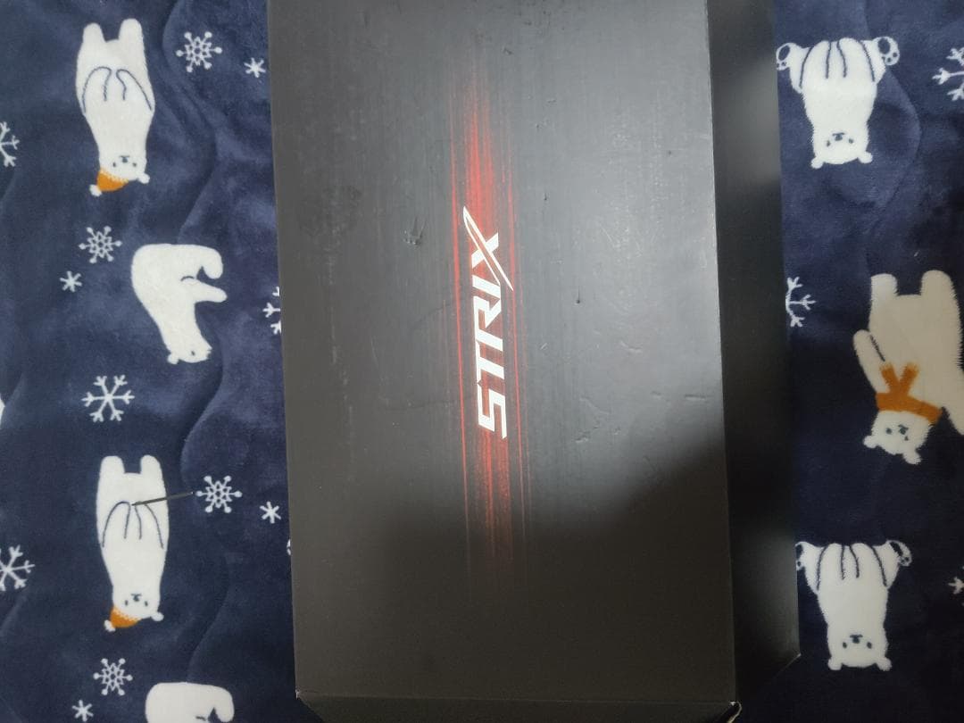 グラフィックボード・グラボ・ビデオカード Asus ROG RTX 3090 0C junk