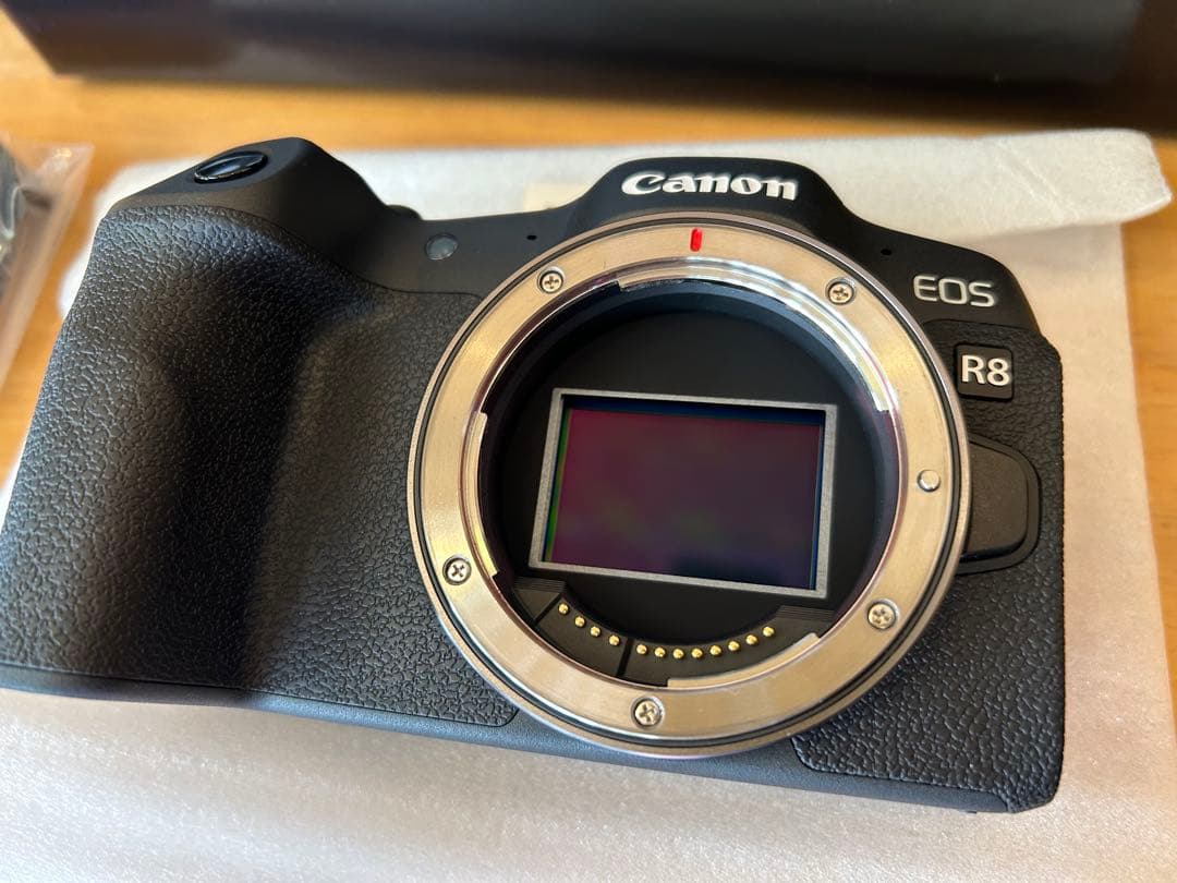 極美品（2024年11月購入）Canon EOS R8 ボディ（付属品　未使用）