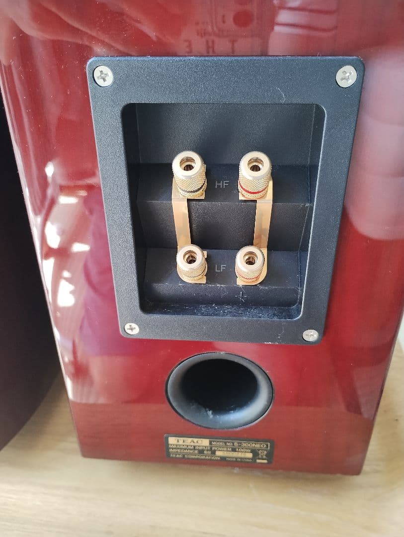 t*a様 TEAC S-300NEO-CH