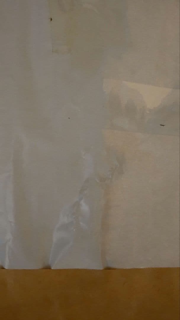 ポケモンカードゲームMEGAドリームex BOXシュリンク付き 輸送箱未開封