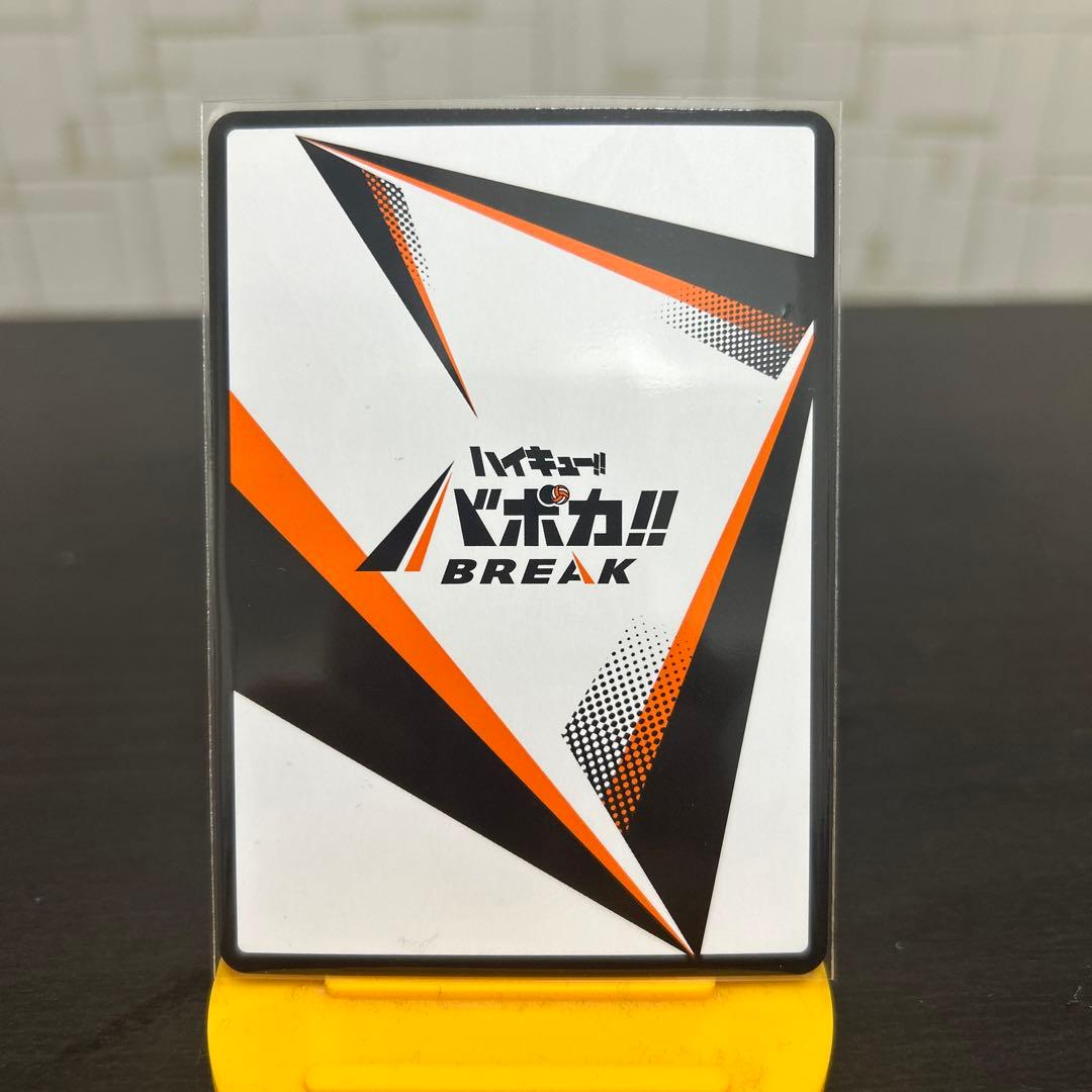 日向翔陽 極 バボカ シリアルナンバー サイン入り