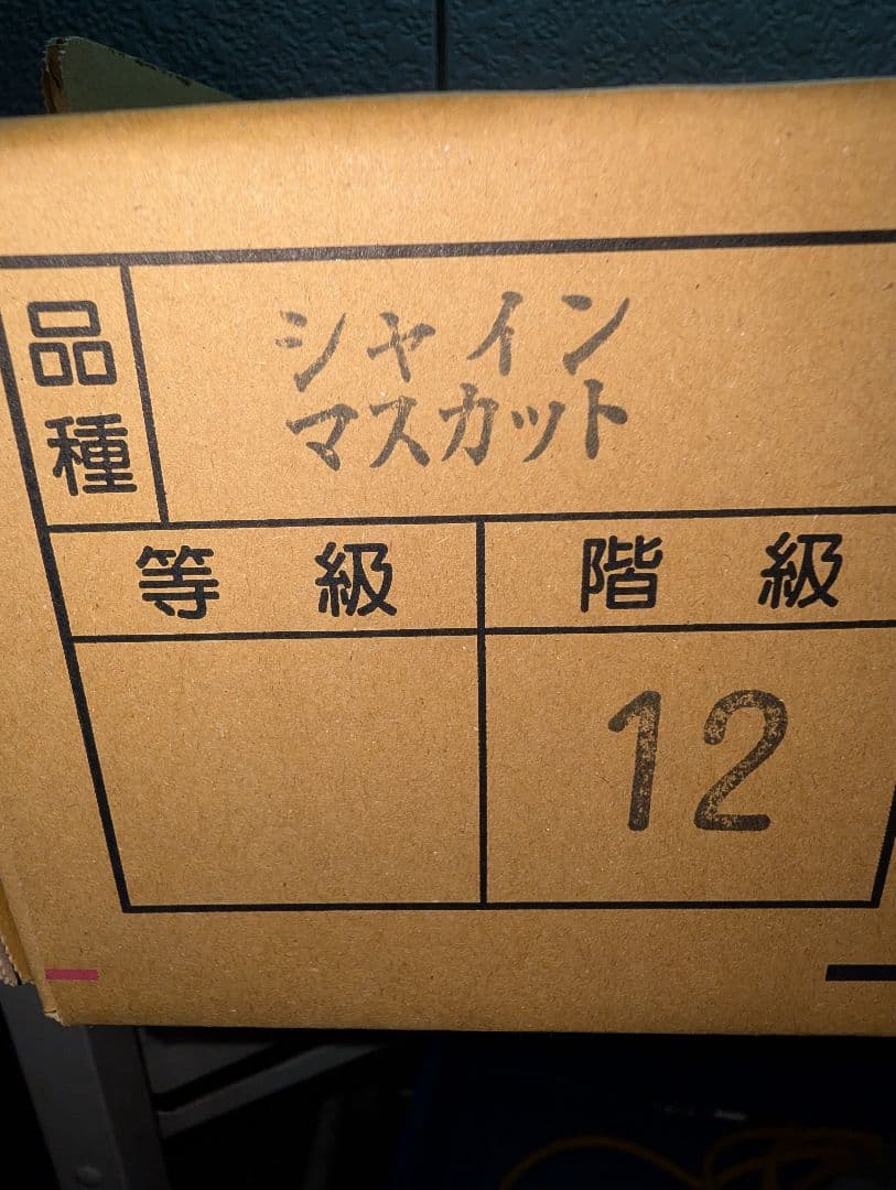 山梨県産ぶどう　シャインマスカット　12房入り箱込み約5.5kg