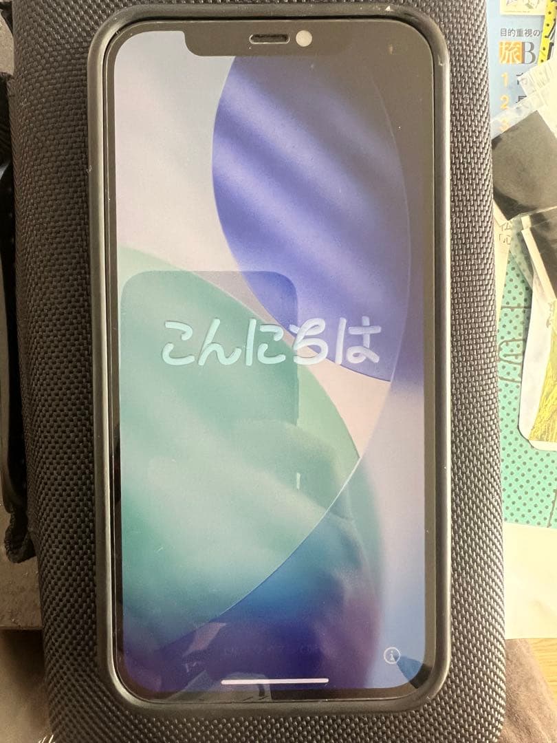 シャッター音無しApple iPhone 12 Pro 256GB