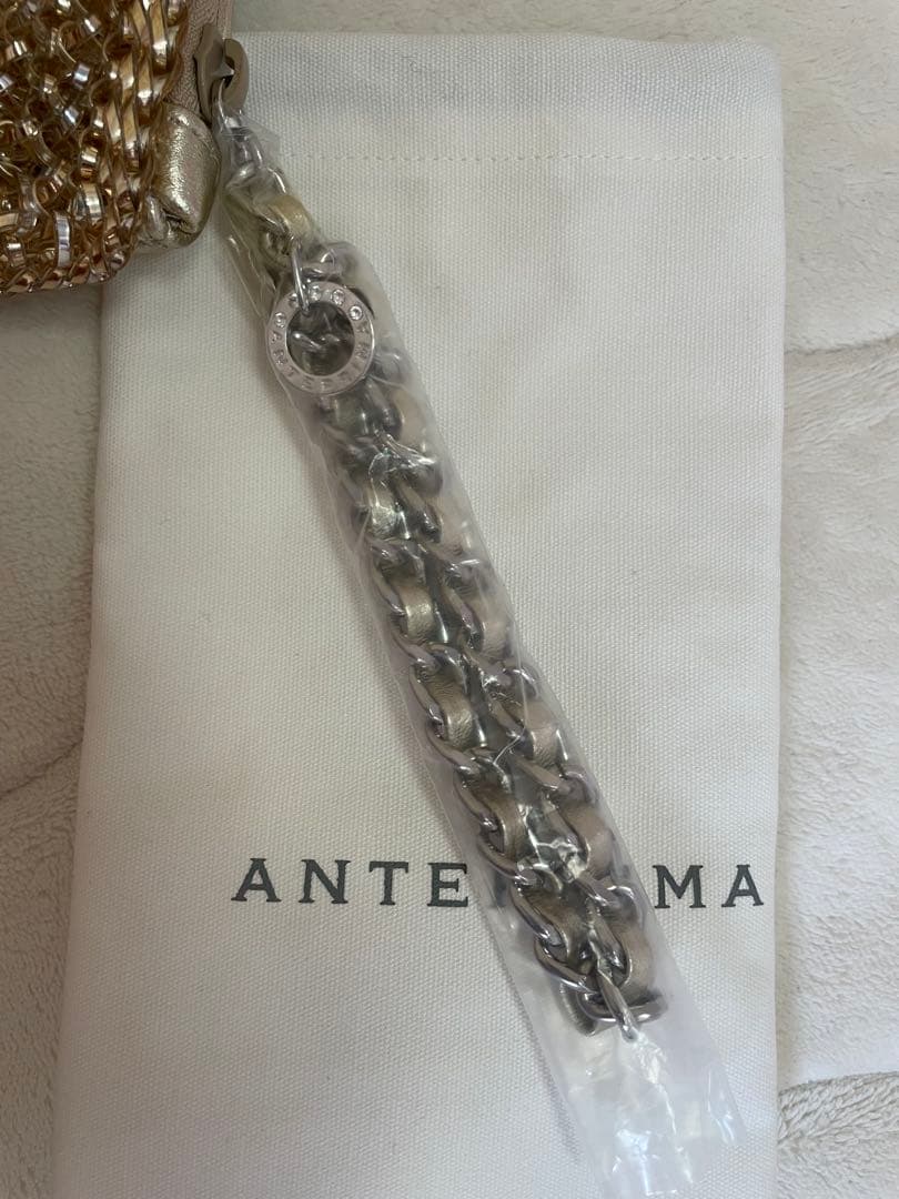 【新品未使用】　アンテプリマワイヤークラッチバッグ＊パック10枚おまけ付き