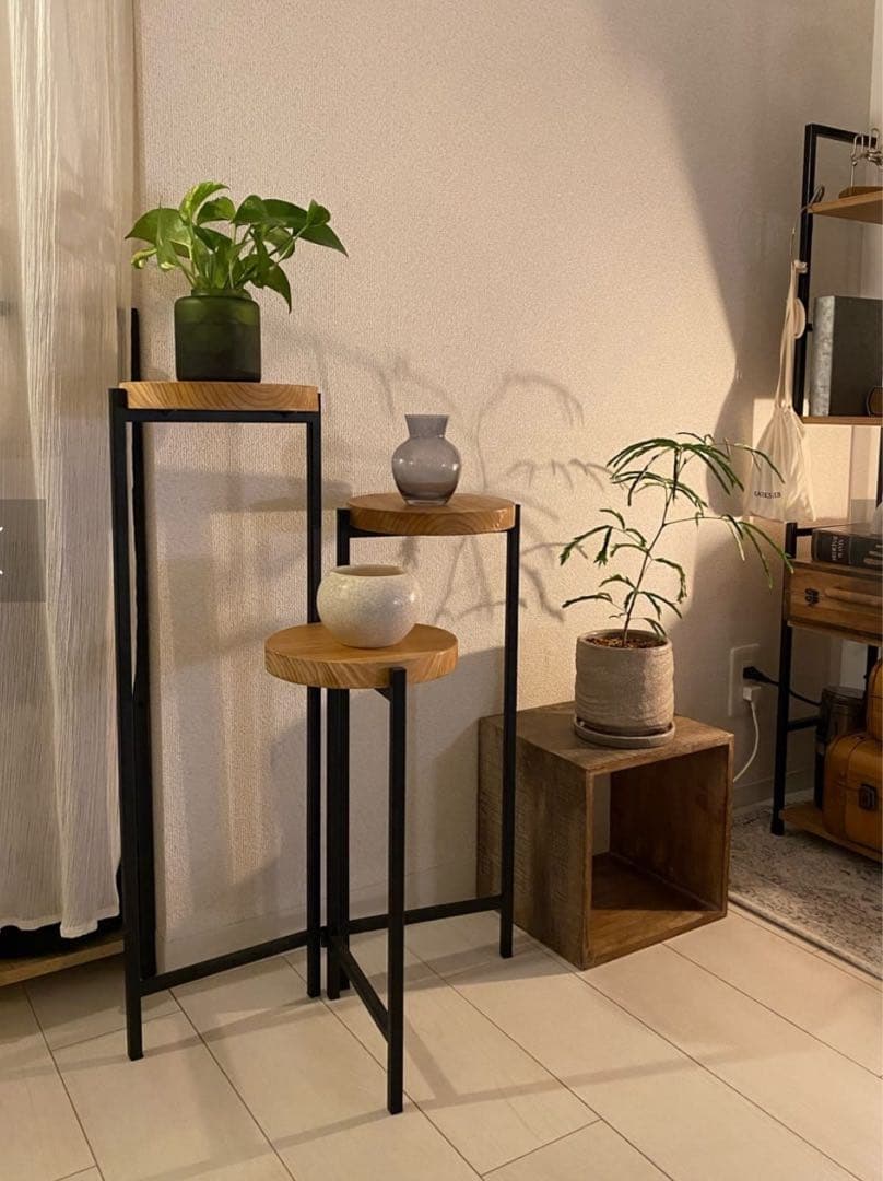 割引中！サリュ Salut! ウッド ディスプレイラック 入手困難【新品】