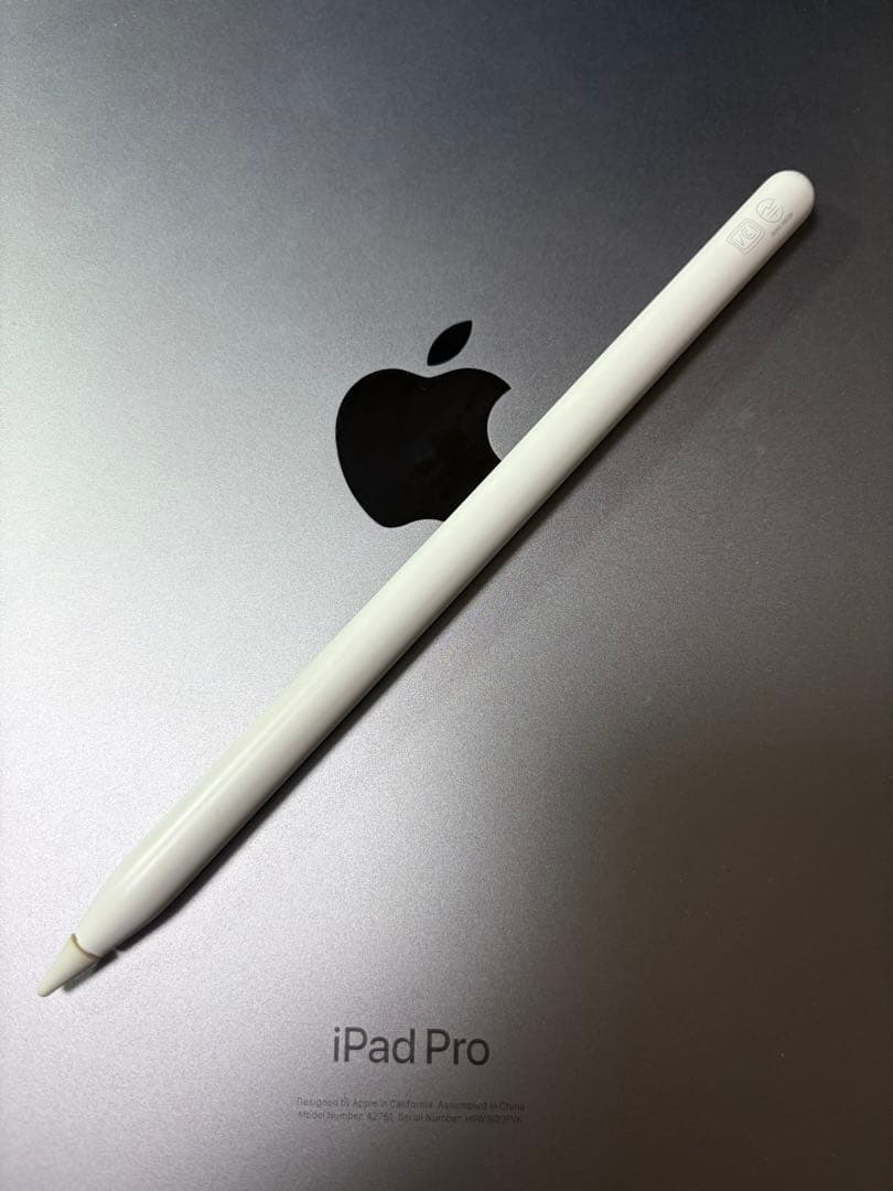 iPad Pro M2(第4世代)11インチ　セルラー　apple pencil