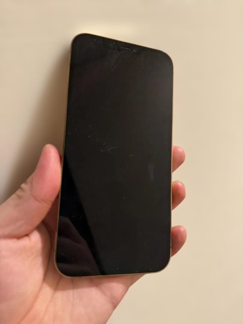 iPhone 12 Pro Max 128GB 本体 値引き相談可