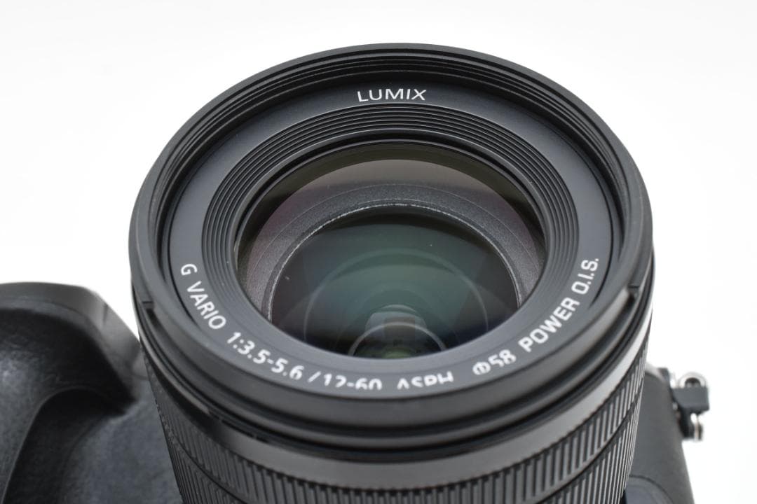 ■ショット数3451回■LUMIX DC-GH5 標準ズームレンズキット
