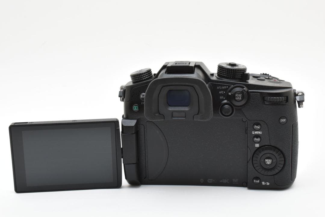 ■ショット数3451回■LUMIX DC-GH5 標準ズームレンズキット