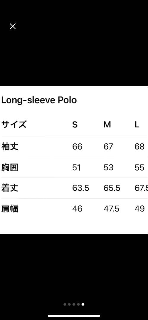 ポロシャツ dab着用 pedestal 再販なし レアSサイズ
