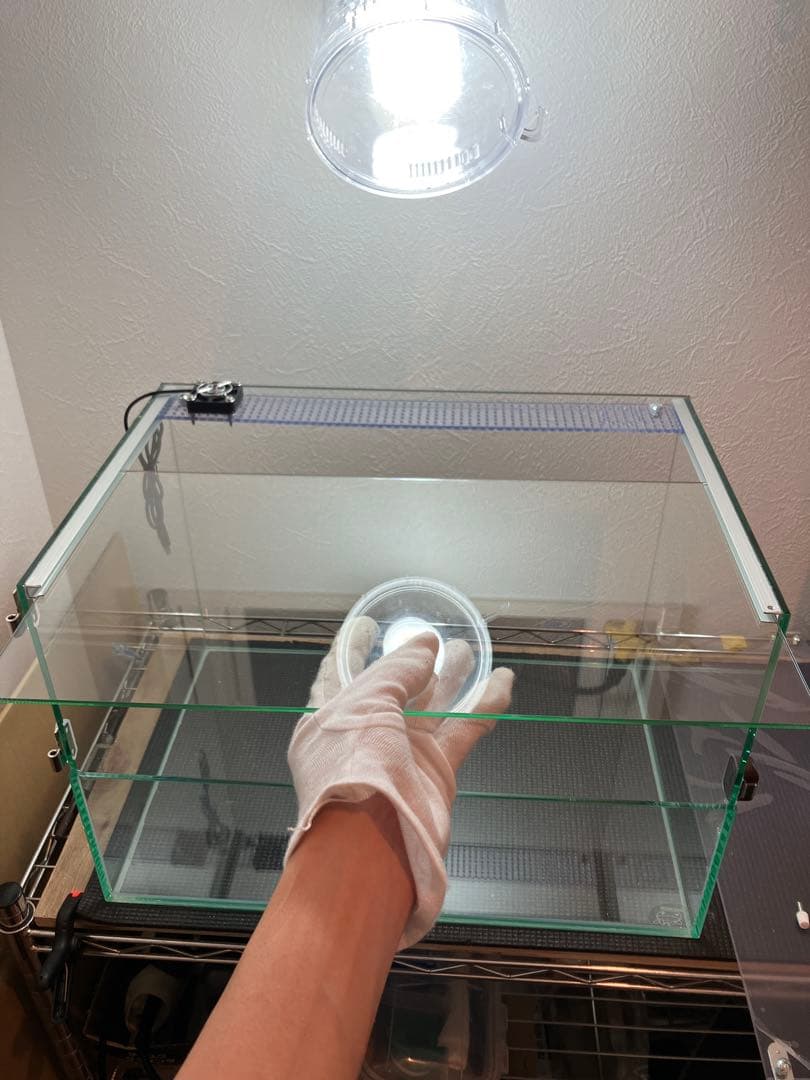 アクアサイダーのイモリウム水槽 サイズ45cm