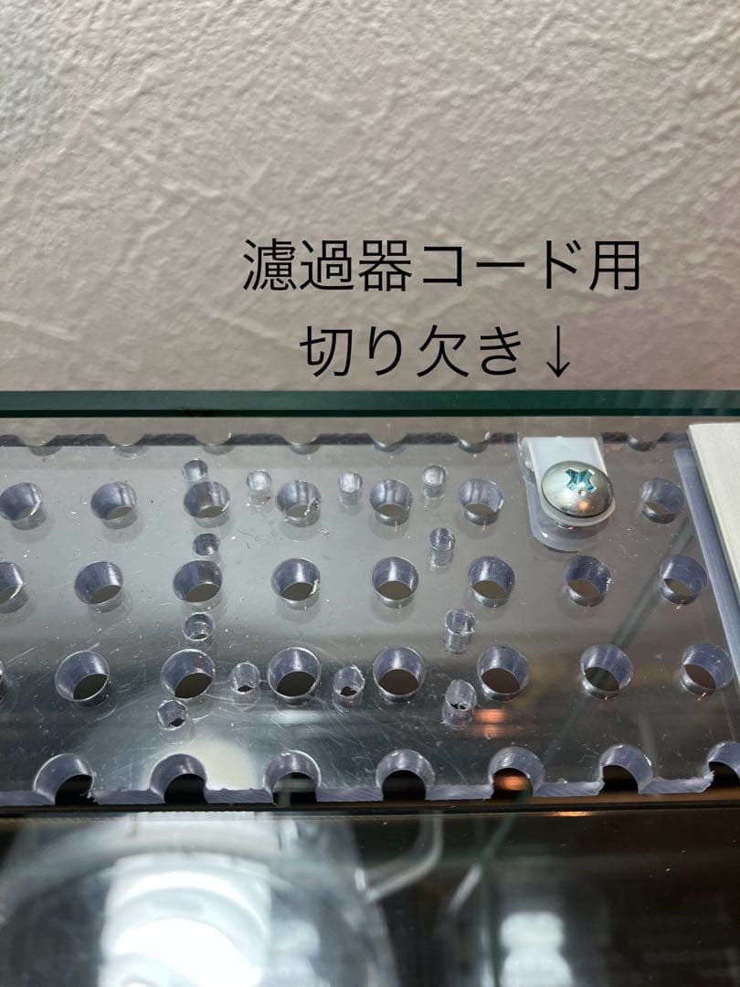 アクアサイダーのイモリウム水槽 サイズ45cm