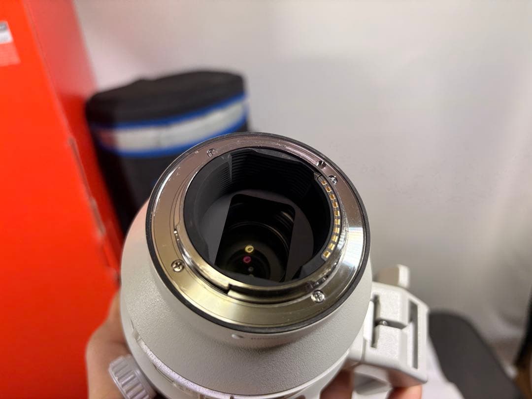 SONY FE 200-600mm F5.6-6.3 G OSS オマケあり多数