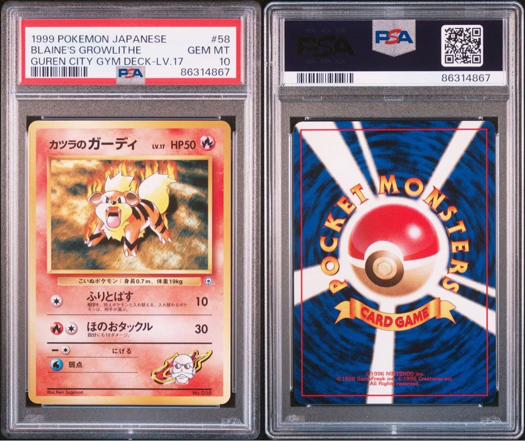 カツラのガーディ ポケモンジム第3弾 グレンタウンジム カツラ　psa10