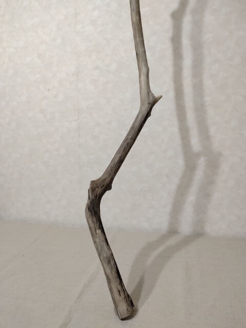 【希少】ガーデニング・DIY向け 超特大サイズロング流木 約160cm