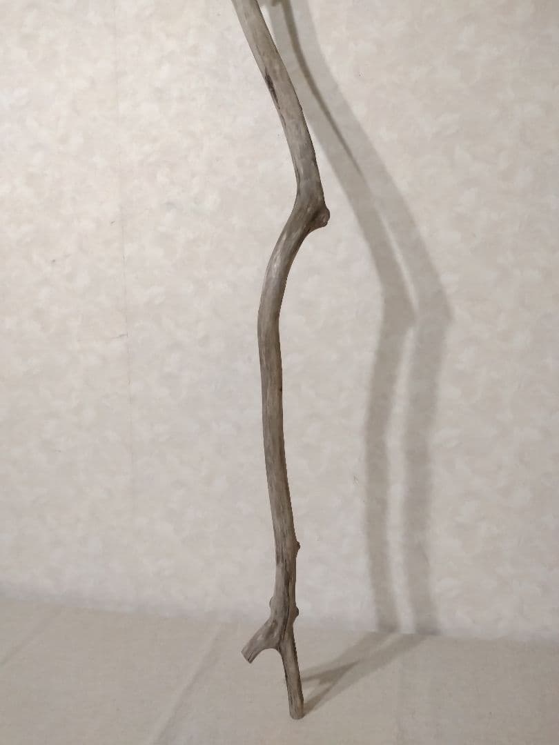 【希少】ガーデニング・DIY向け 超特大サイズロング流木 約160cm