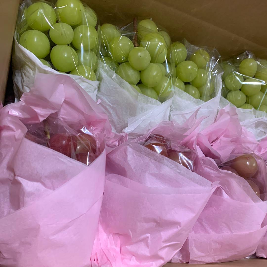 ⑥シャインマスカット＆クイーンルージュ®︎（4.5キロ）