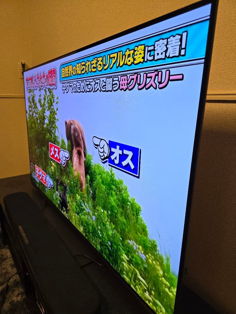 【引取限定】東芝REGZA55型 55X8900L 有機ELテレビ