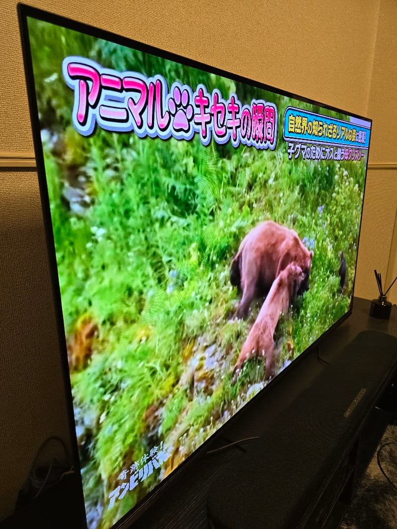 【引取限定】東芝REGZA55型 55X8900L 有機ELテレビ