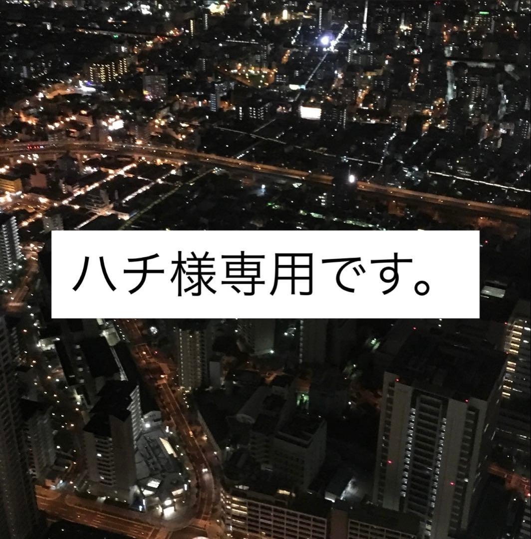 ハチ。サングラス