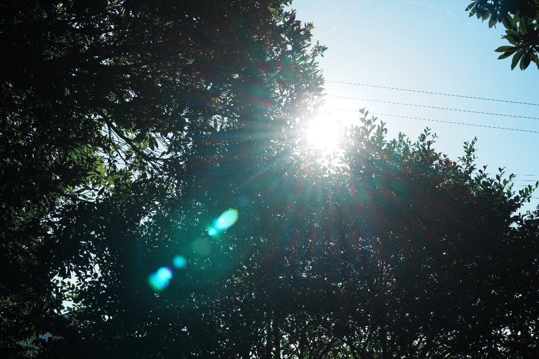 Carl Zeiss Batis 40mm F2 CF レンズ1本だけ残すなら