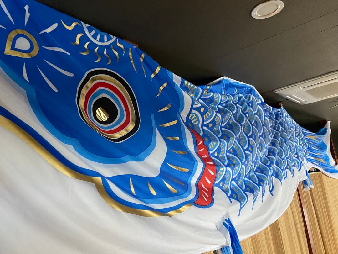 特大　鯉のぼり