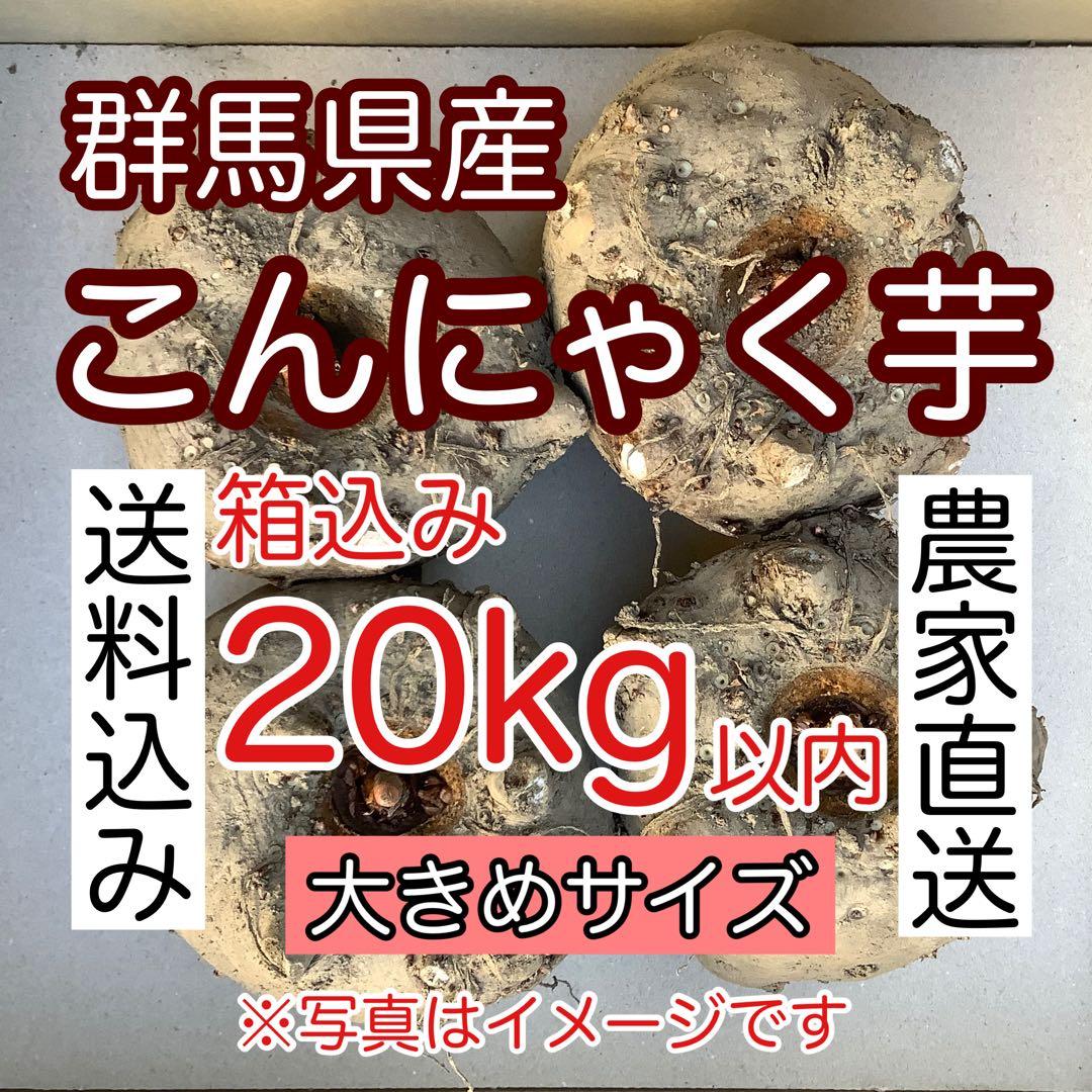群馬県産こんにゃく芋　箱込み２０kg以内　大きいサイズ