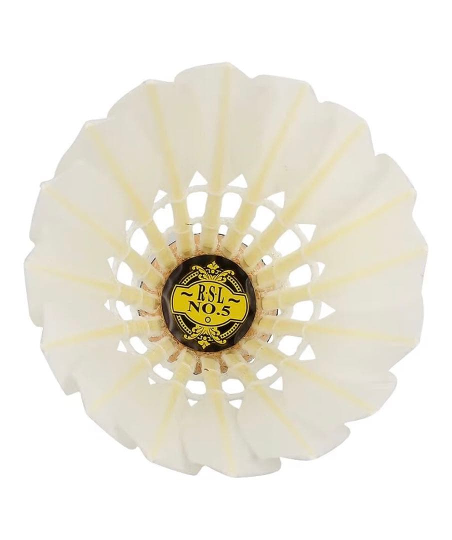 C*u様 ❣️新春初売❣️RSL 5 バドミントンシャトル 6本セット(72個)