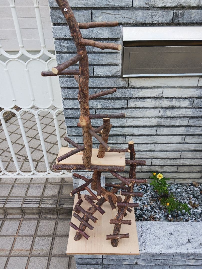 バードアスレチック バードアスレチックジム 止まり木、小鳥 No.911