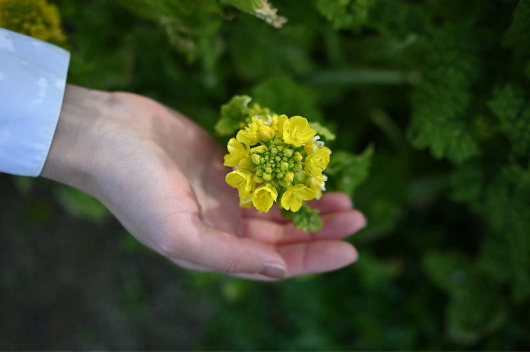 【ほぼ未使用】NIKKOR Z DX 24mm f/1.7