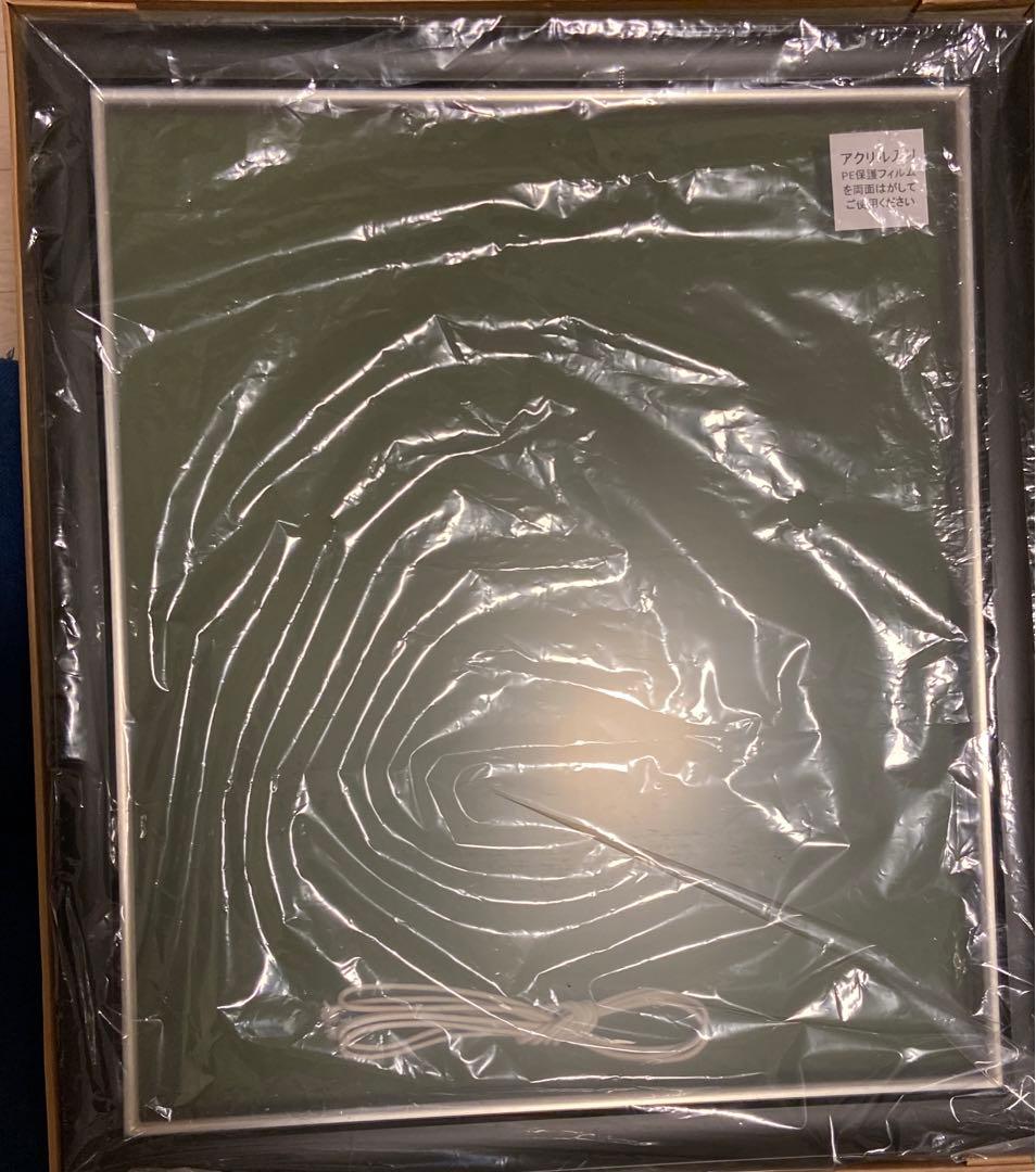 ◎新品未使用◎F10 額縁　送料込み　アクリル　油絵油彩キャンバス　黒×シルバー