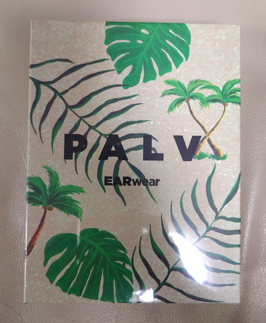 【新品・未開封】PALV　 骨伝導イヤホン　➕️専用ケース
